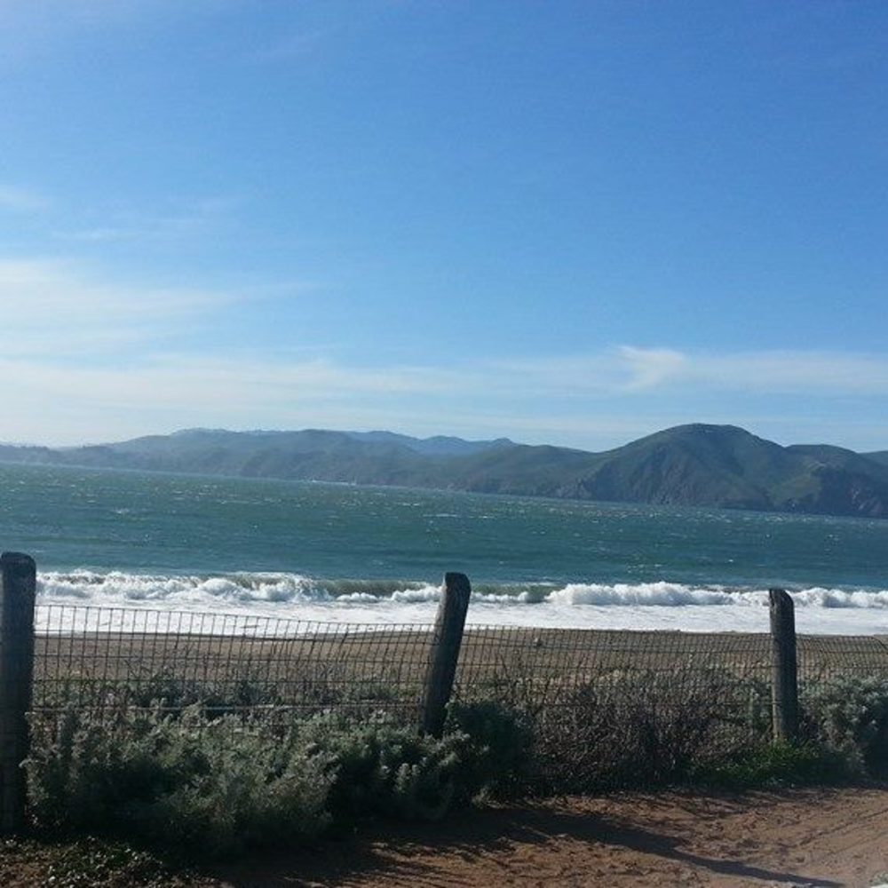 Meet your Posher, Kat